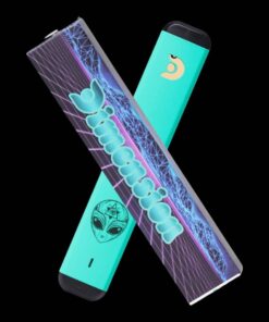 DMT disposable half gram Pen