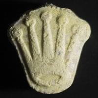 Rolex MDMA For Sale